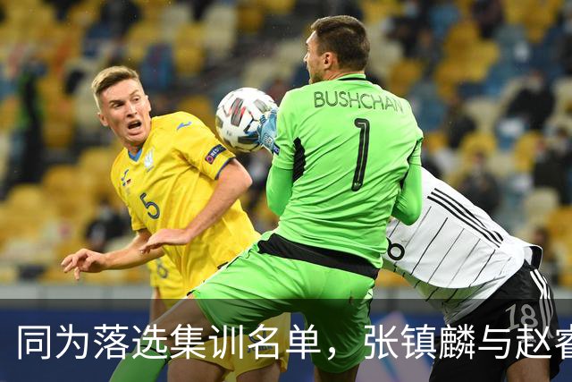 同为落选集训名单，张镇麟与赵睿的境遇差异何在？